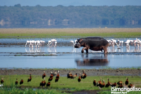 iSimangaliso Wetland Park (Photo: http://www.isimangaliso.com/)