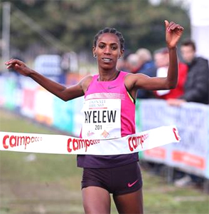 Hiwot Ayalew